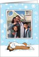 Shetland Sheepdog Holiday Photo Template card