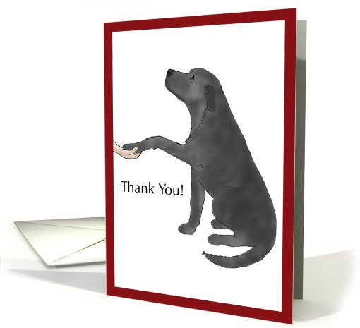 Thank You - Black Lab Dog Puts Paw in Hand card (444585)