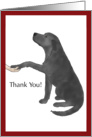 Thank You - Black Lab Dog Puts Paw in Hand card