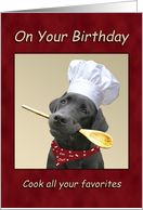 Birthday Chef Black Labrador Cooking card