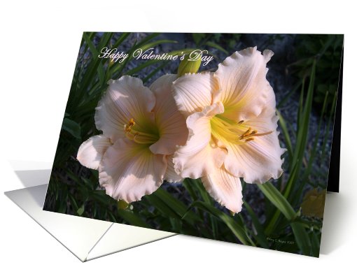 Anniversary Valentine's Day Pink Daylily Flowers Garden card (557779)