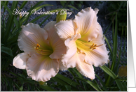 Anniversary Valentine’s Day Pink Daylily Flowers Garden card