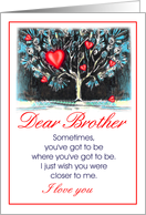 dear brother