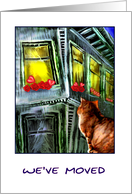 cat & window/ we’ve moved card