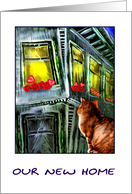 cat & window card