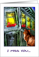 cat & window card