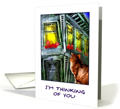 cat & window card (459568)