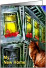 cat&window/invitation card