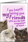 three cats card