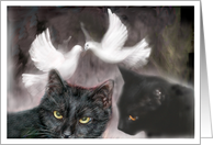 cats&doves card