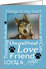 Pet Sympathy Card - Husky card