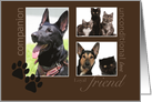 Pet Sympathy -Custom Photo Card
