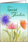 For a Special Teacher -Teacher Appreciation Day card