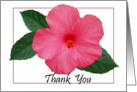 Hibiscus- Thank you card