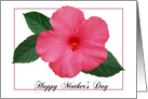 Happy Mother’s Day - Pink Hibiscus card