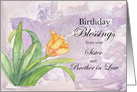 Birthday Blessings from Sister and Brother in Law card
