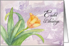 Easter Blessings - Tulip card