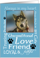 Pet Sympathy Card - Husky card