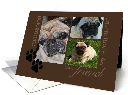 Pet Sympathy - Pug card (1383806)