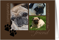 Pet Sympathy - Pug card