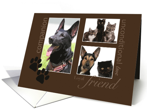 Pet Sympathy -Custom Photo card (1386566)