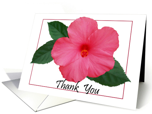 Hibiscus- Thank you card (587468)