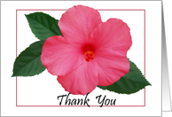 Hibiscus- Thank you card