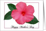 Happy Mother's Day -...