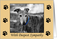 With Deepest Sympathy - Dog card