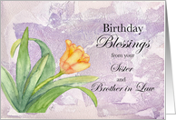 Birthday Blessings from Sister and Brother in Law card