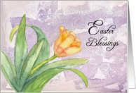 Easter Blessings - Tulip card