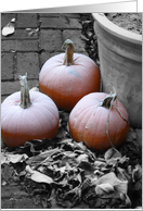 A Chill Halloween card
