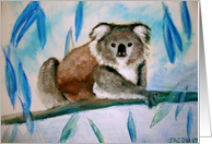 Koala birthday card