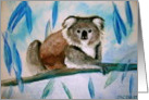 Koala birthday card