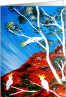 3 cockatoos birthday card