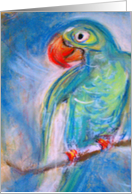 parrot birthday card