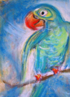 parrot birthday