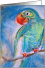 parrot birthday card