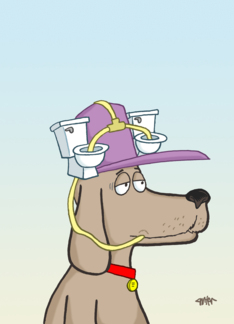 Dog with toilet...