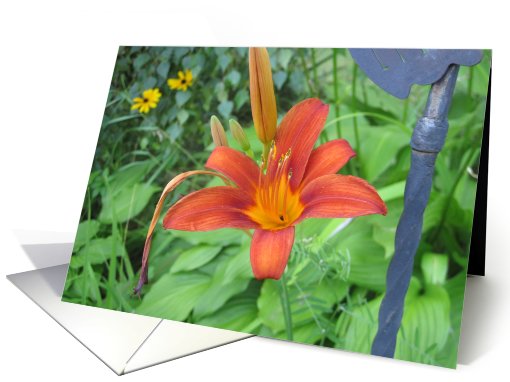 Red Lilie card (474667)