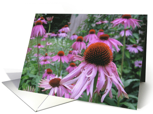 Pink Purple Flowers card (474671)