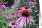 Pink Purple Flowers card