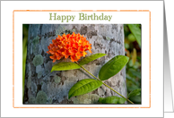 Happy Birthday flower card