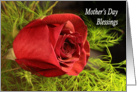 Mother’s Day Blessings red rose card