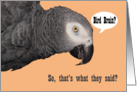Congratulations on graduating humorous parrot card
