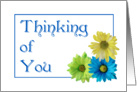 Thinking of You three daisies flower card