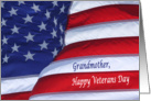 Happy Veterans Day Grandmother waving flag card