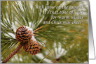 snow covered pine cones Merry Christmas card