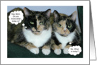 Happy Mother’s Day humorous cats card
