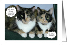 Happy Mother’s Day humorous cats card